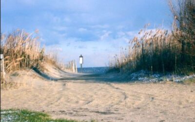 Public Access to Beaches and Other Waterways – Pending Legislation