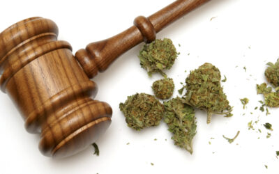 Medical Marijuana Use – What Employers Should Know