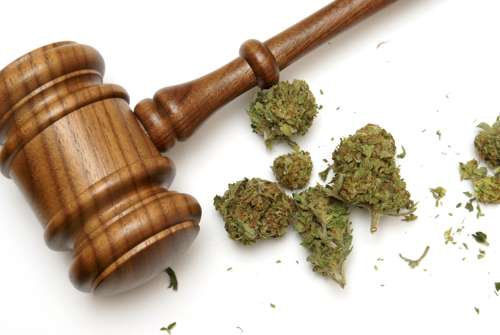 Medical Marijuana Employment Law